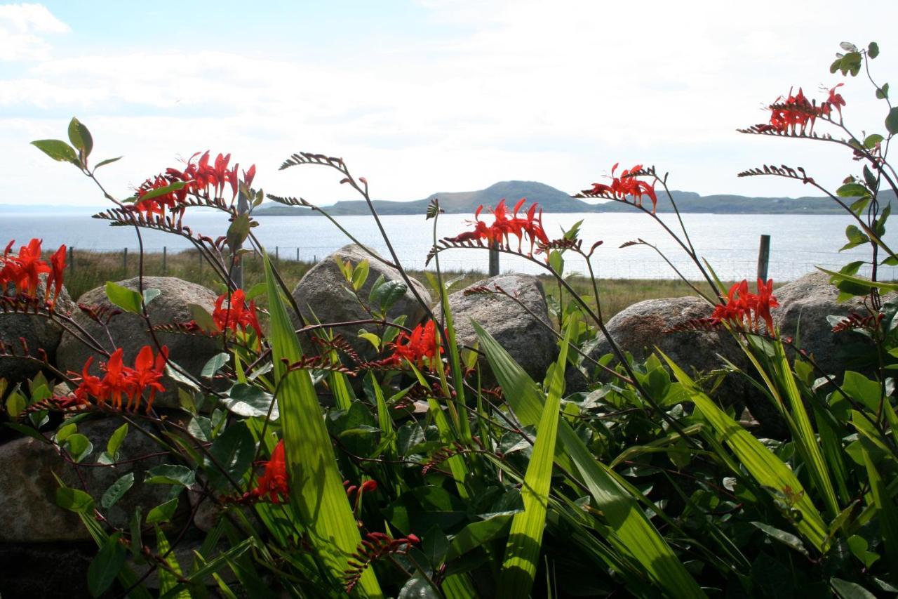 Quinag - Luxury Villa With Sea Views In Achiltibuie Eksteriør bilde